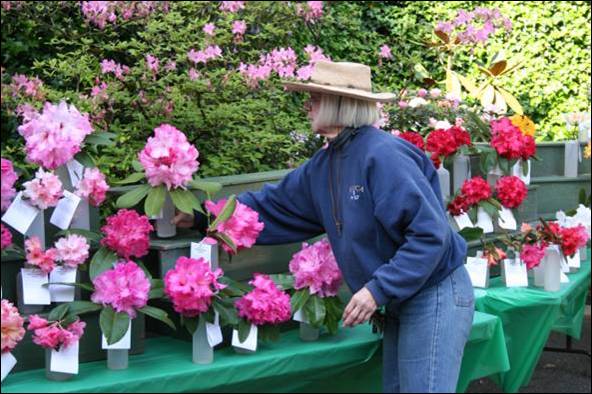 Seattle Rhododendron Society