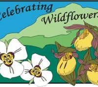 Celebrating Wildflowers