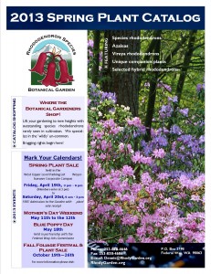 2013 Spring Cover