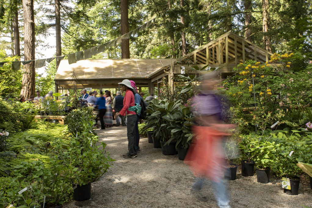 Visit Rhododendron Species Botanical Garden