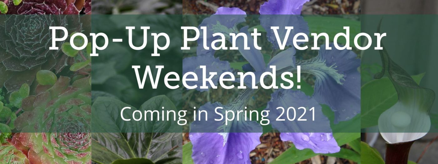 Pop-Up Plant Vendor Weekends! – Rhododendron Species Botanical Garden