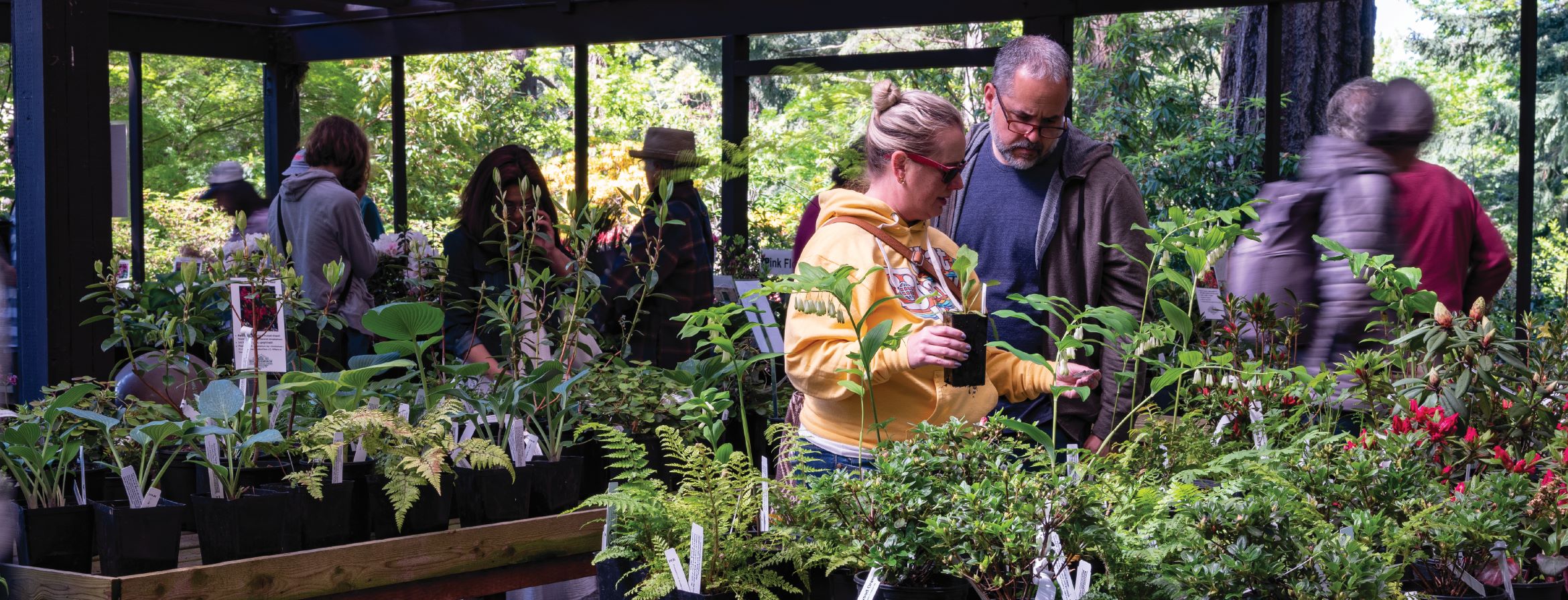 Plant_Shoppers_Homepage_Slider_1400x525