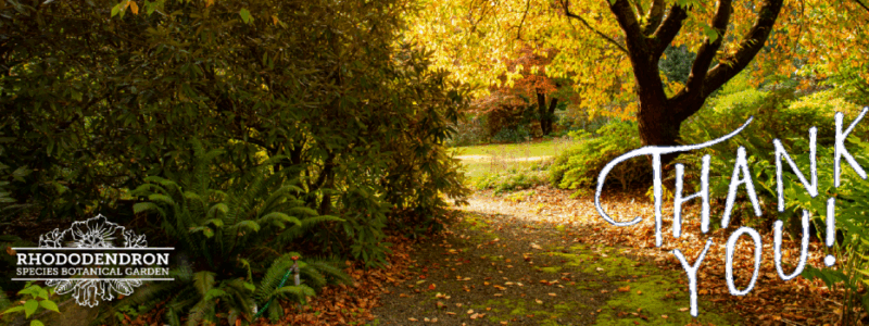 2025-RSBG-Silver-960×350