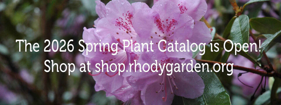 Website Banner Spring Catalog Open to All 1400×525