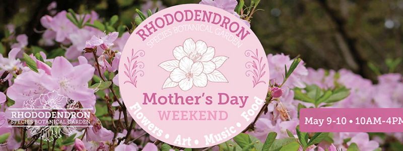 Mother’s Day Website Banner