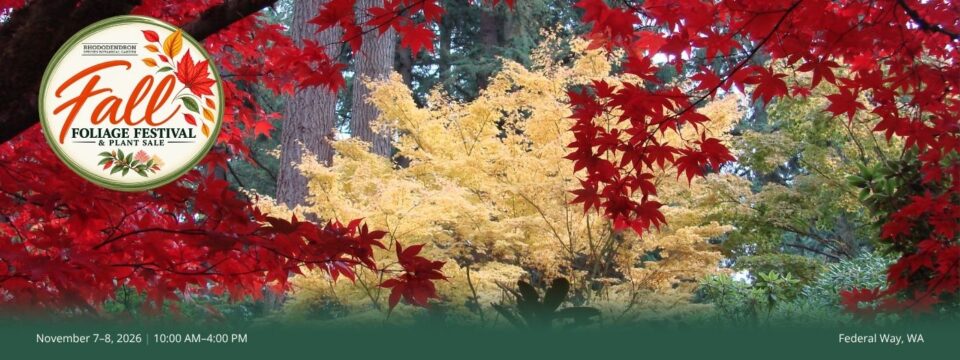 Fall Foliage Festival 2026_Home Page Slider