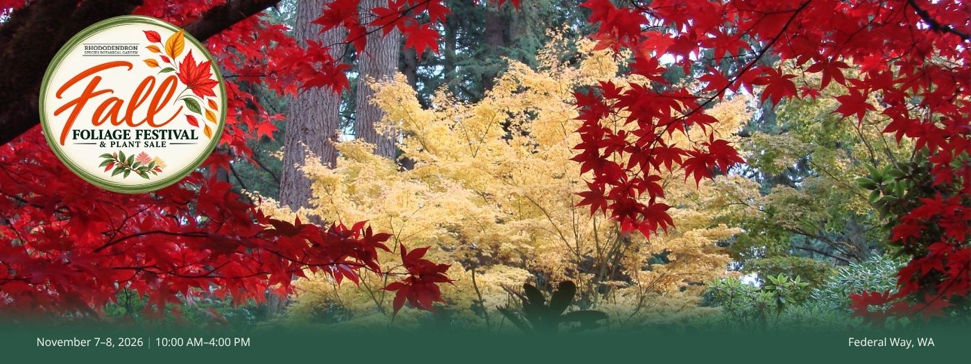 Fall Foliage Festival 2026_Home Page Slider