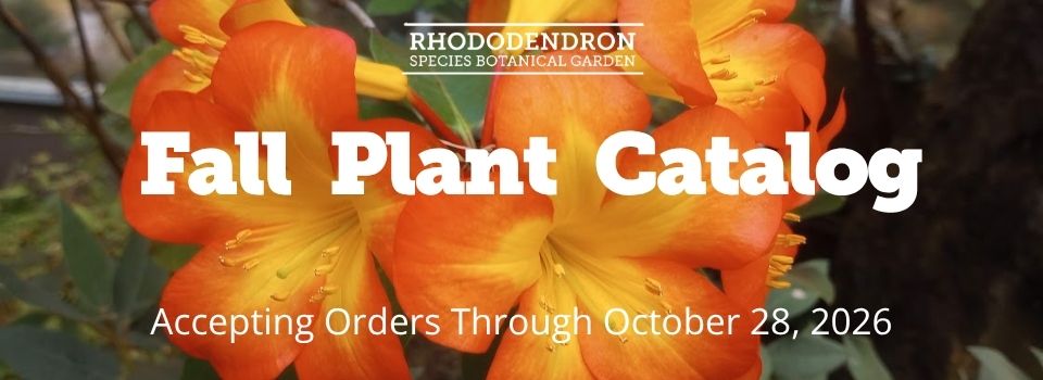 Fall Catalog_Shop Banner
