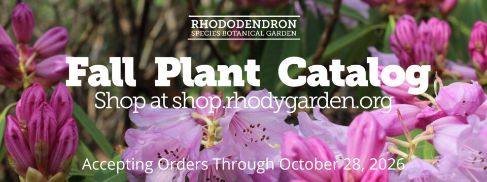 Fall Plant Catalog_Home Page Slider