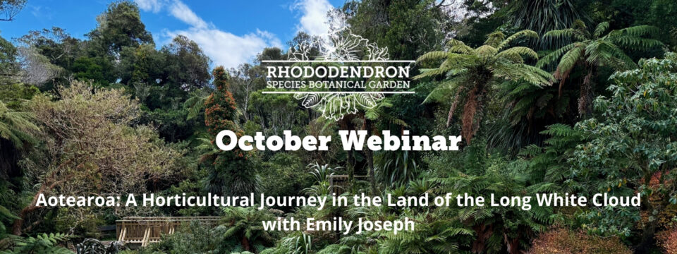 October Webinar_Home Page Slider