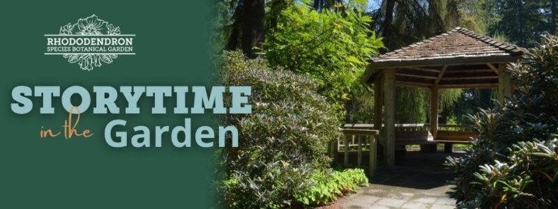 Storytime Banner_Optimized 960×350