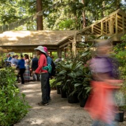 Plant Shop & Visitor Center