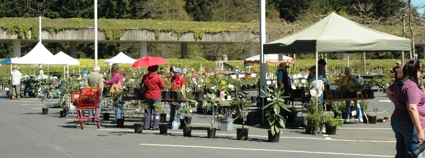 2013 Spring Plant Sale