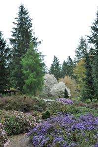 RSBG Alpine Garden