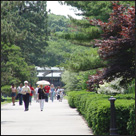 New York Botanical Garden