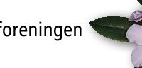 Rhododendronforeningen