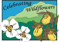 Celebrating Wildflowers