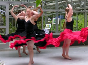 Aria Dance Co 1