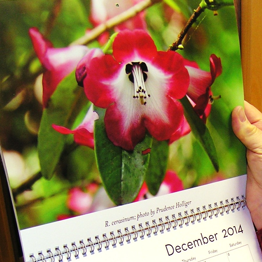 2014 Calendar