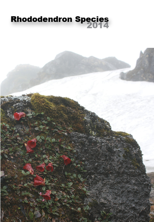2014_RSF_yearbook_front_cover_