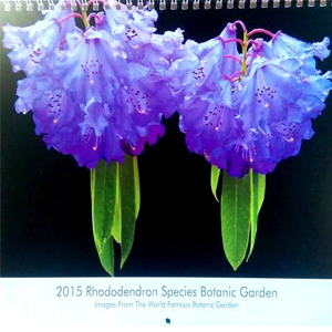 2015 Calendar