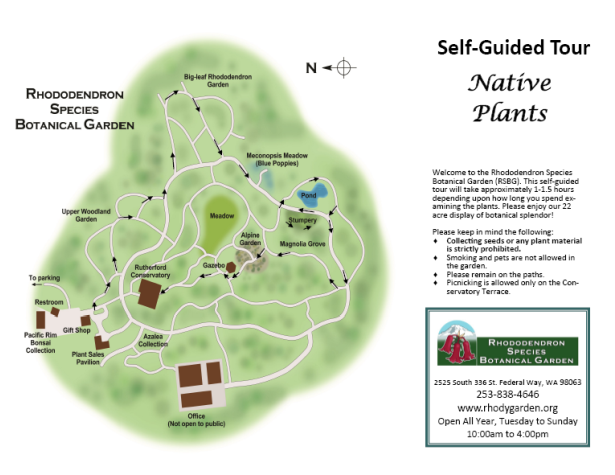 Native_Plants_2015-615x475