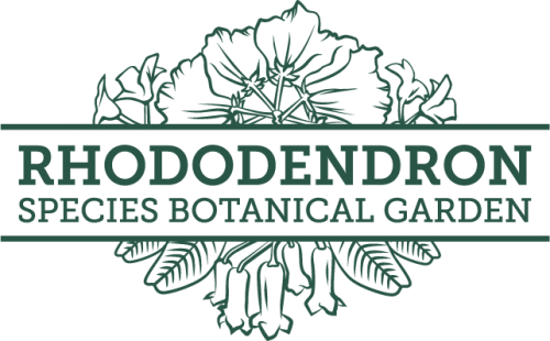 RSBG logo
